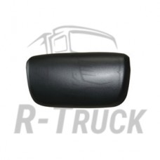 Daf main mirror cover e-mark