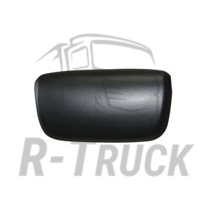 Daf main mirror cover e-mark